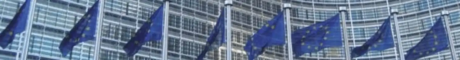 European Digital Identity and SSI